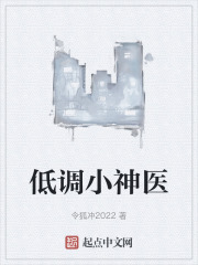 低调小神医