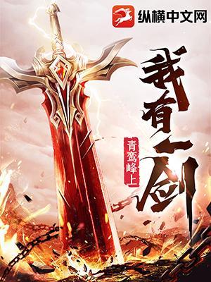 诸天无敌剑修叶观整本免费