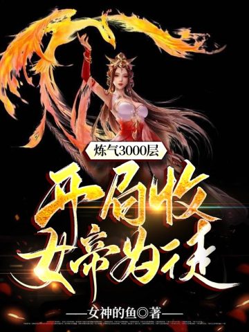 叶空林夭夭在线阅读